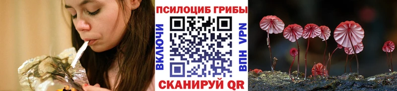 купить наркотики сайты  Белинский  Галлюциногенные грибы мухоморы 